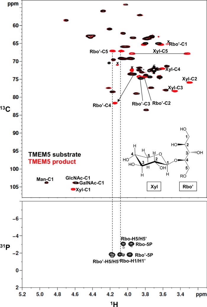 FIGURE 3.