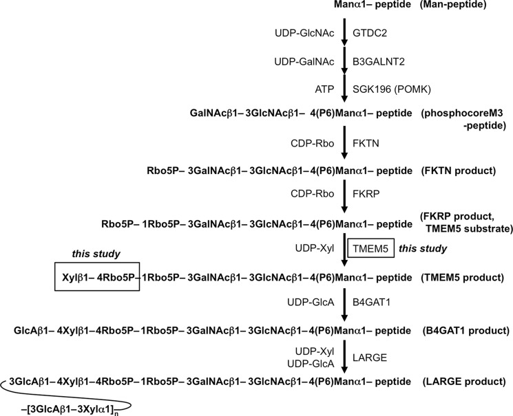 FIGURE 1.