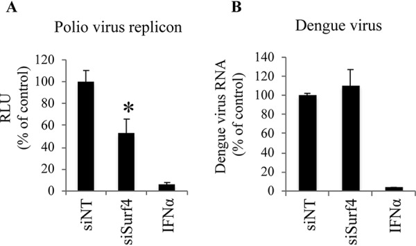 FIG 6