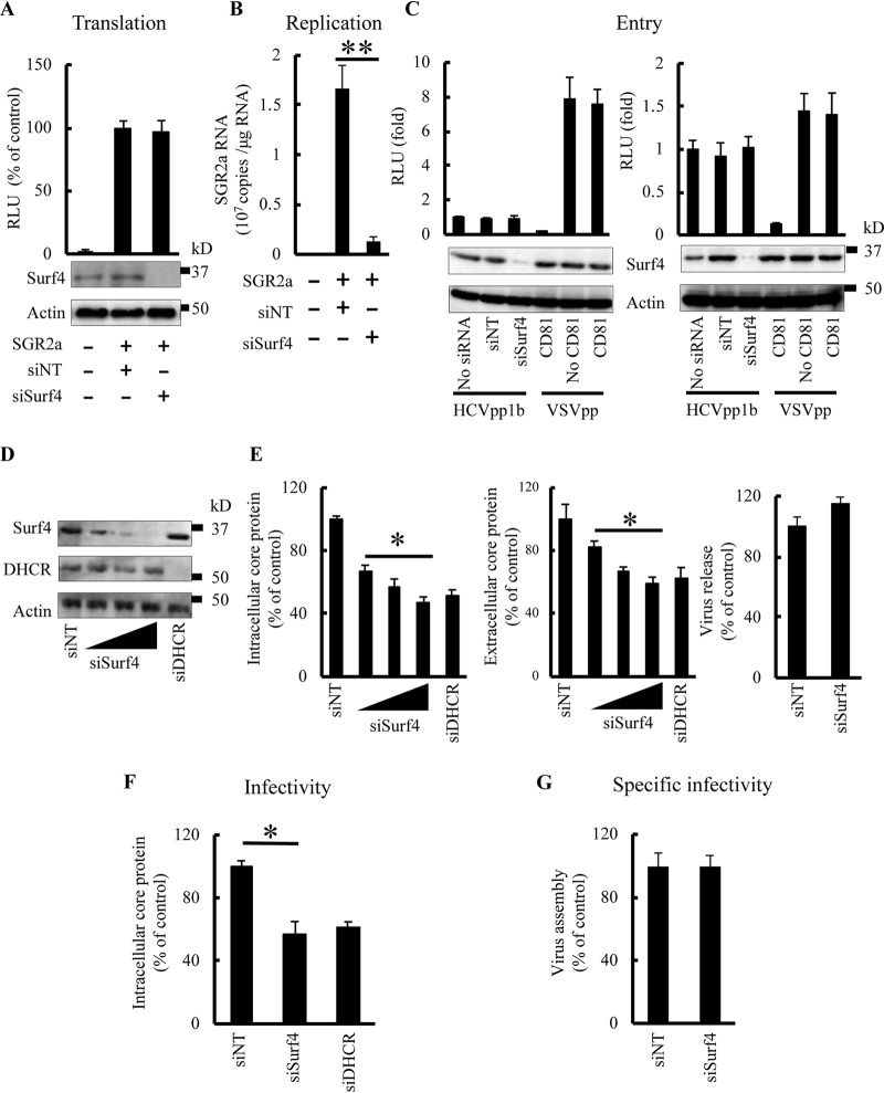 FIG 2