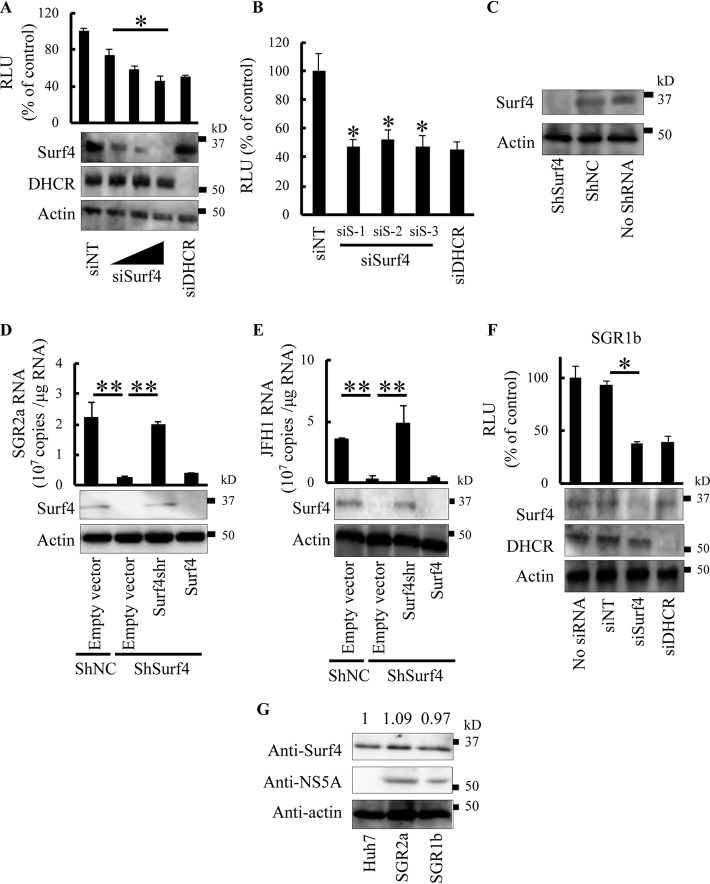 FIG 1