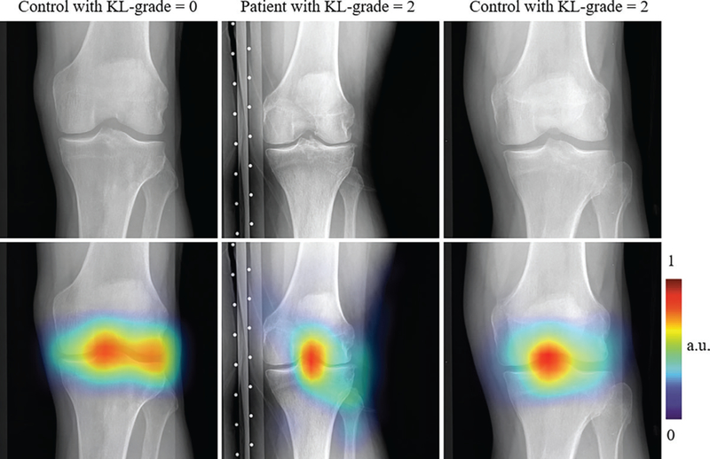 Figure 4: