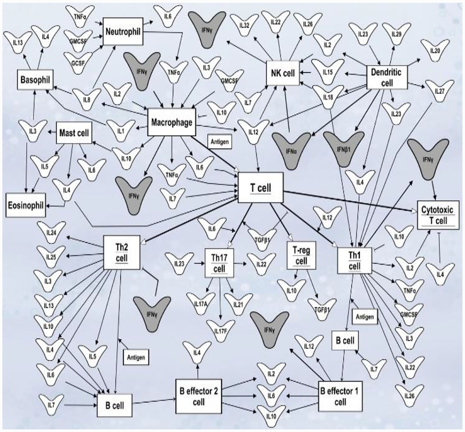 Figure 1: