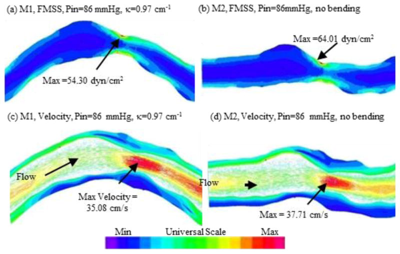 Fig. 7