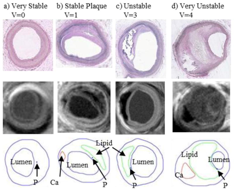 Fig. 8