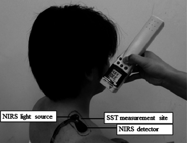 Fig. 2.