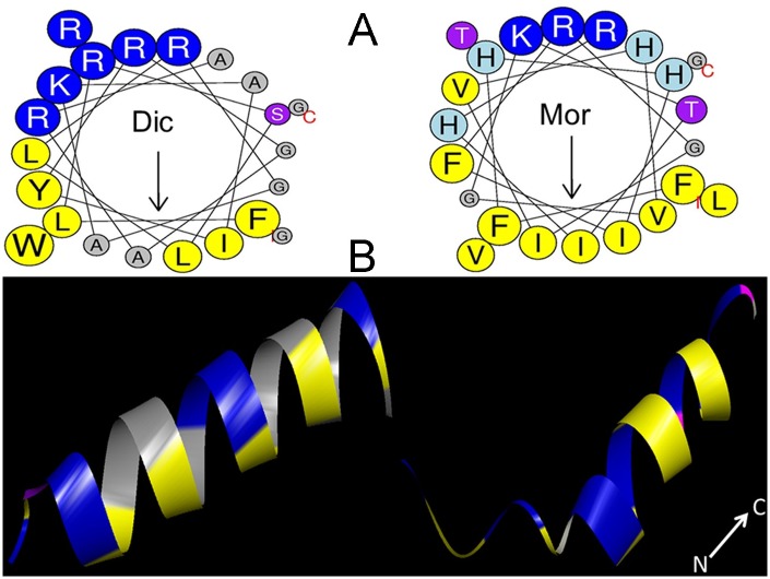 Fig 1