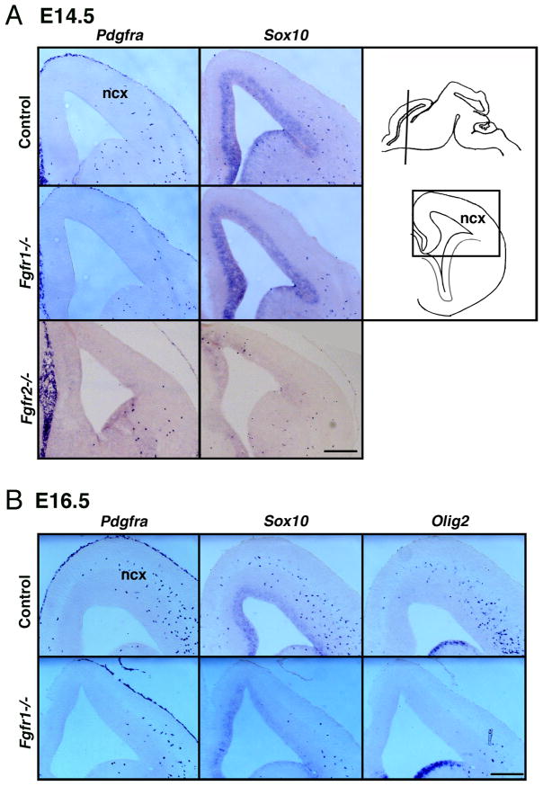 Fig.2