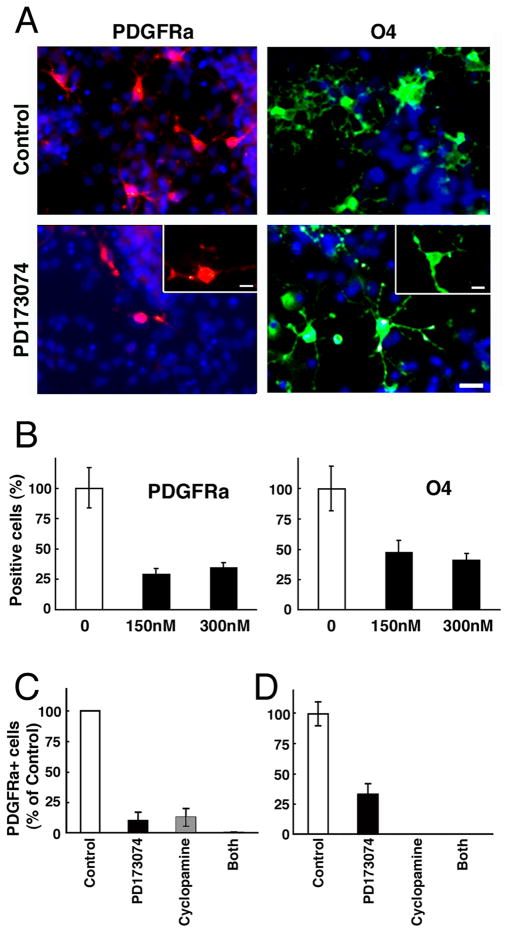 Fig.7