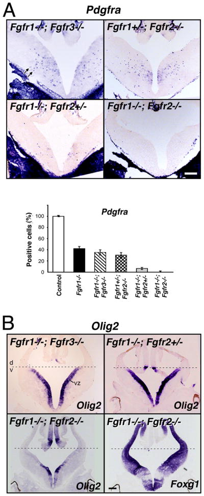 Fig.5