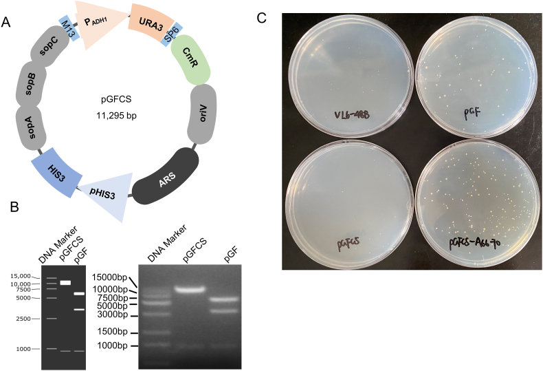 Fig. 2