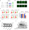 Fig 10