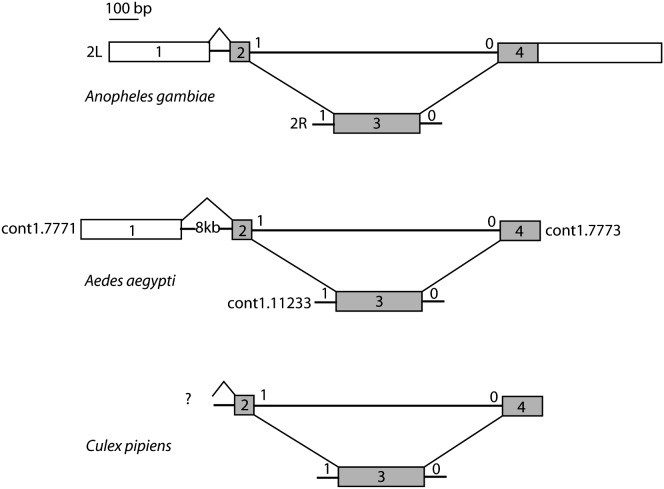 Figure 1.—