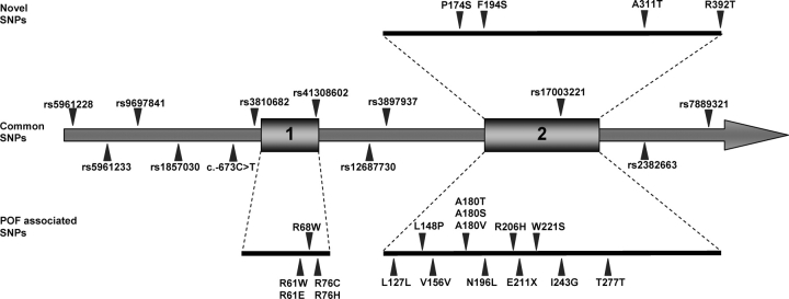 Figure 1: