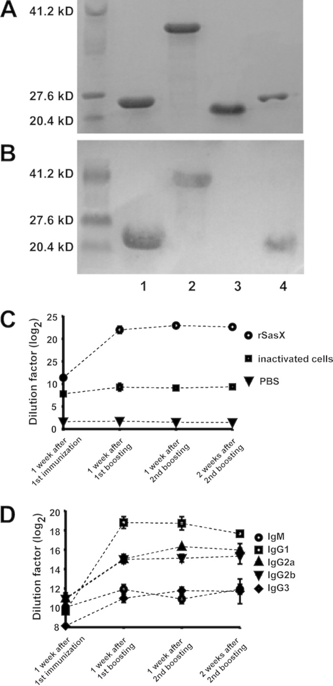 FIG 1