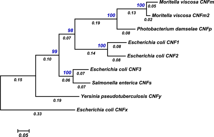 Figure 2.