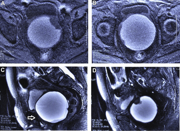 Figure 3