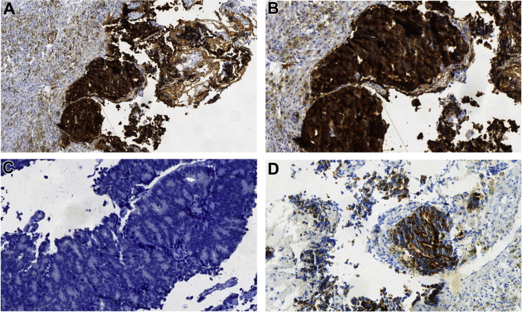 Figure 2