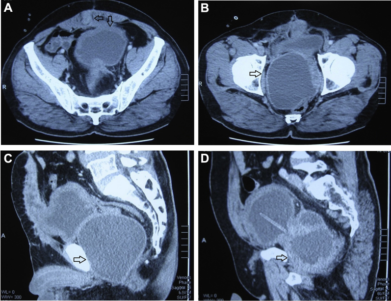 Figure 1