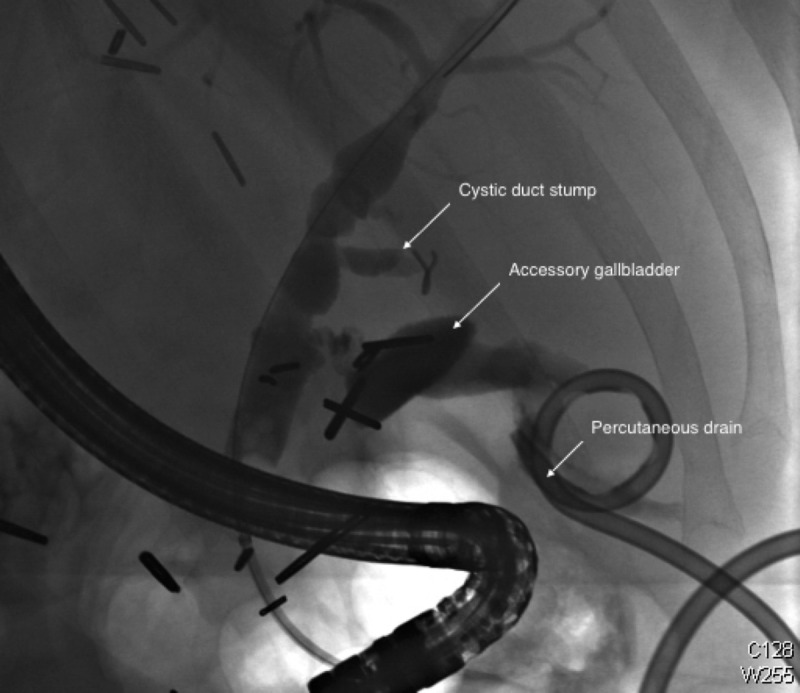 FIGURE 6