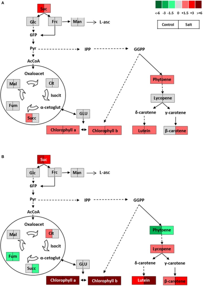 Figure 7