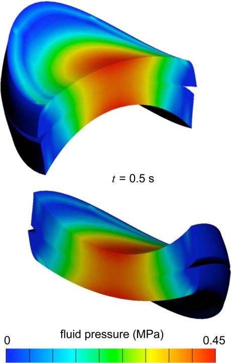 Fig. 6