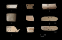 Fig 10