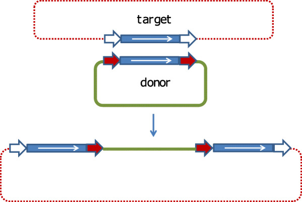 Fig. 10