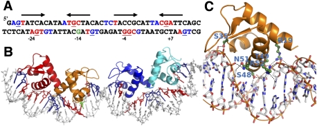 Figure 4.