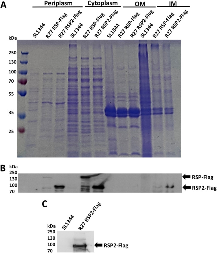 FIG 2