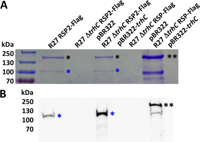 FIG 3