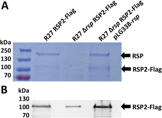 FIG 4