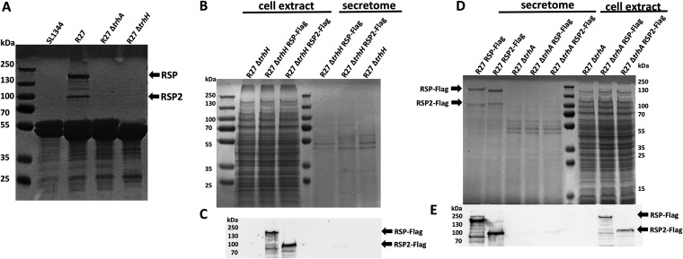 FIG 6