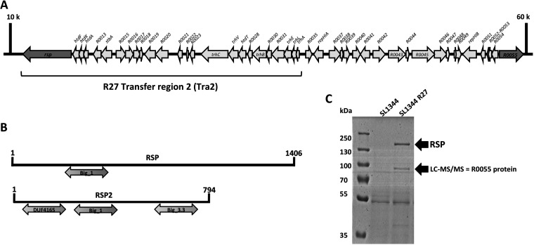 FIG 1