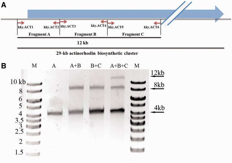 Figure 2.