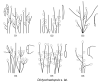 Figure 48