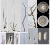 Figure 38