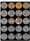 Figure 28