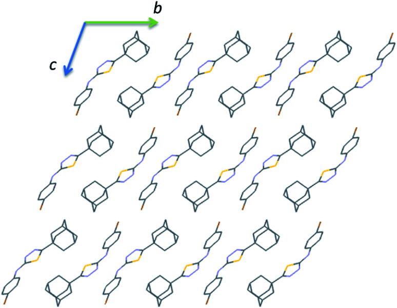 Fig. 10