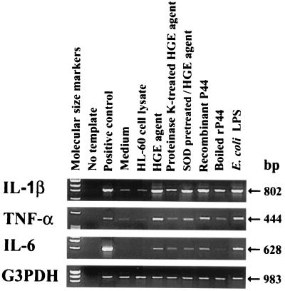 FIG. 5