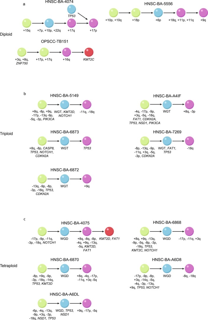 Extended Data Fig. 1