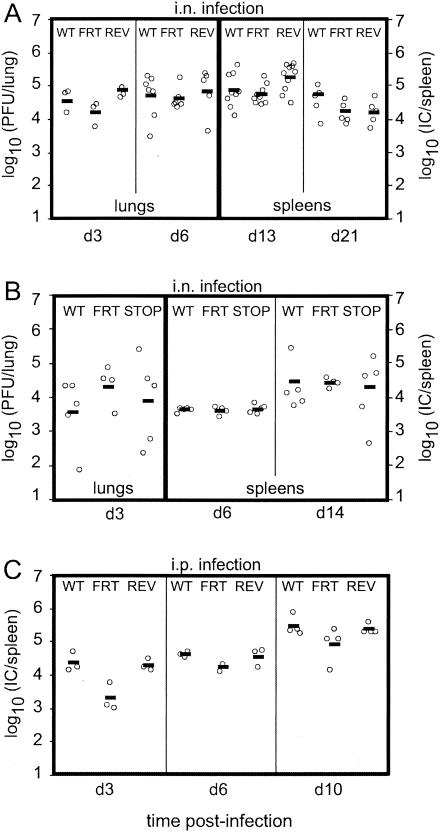 FIG. 7.