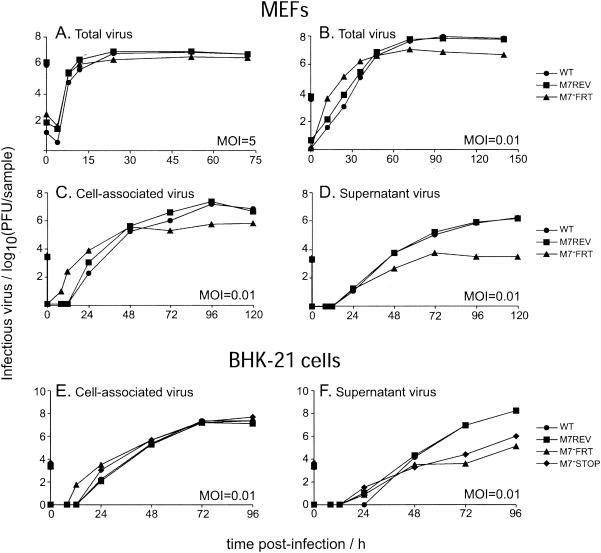 FIG. 2.