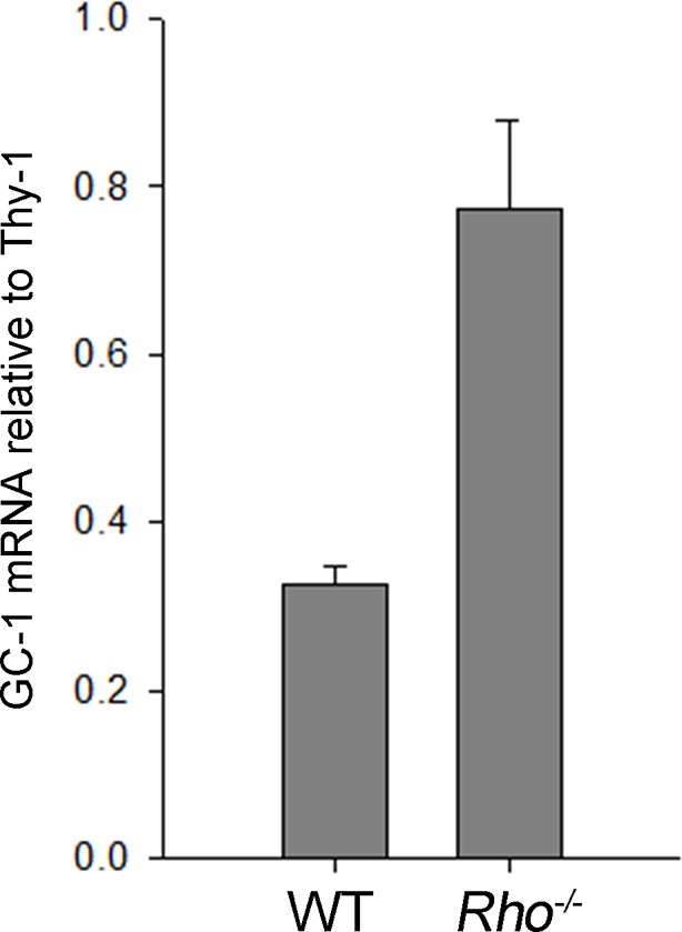 Figure 3—figure supplement 1.