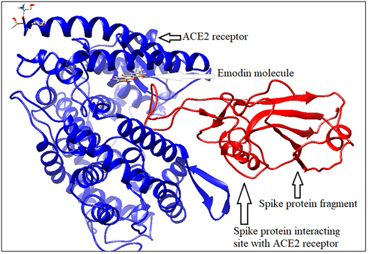 Figure 9