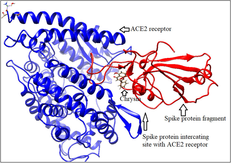 Figure 13