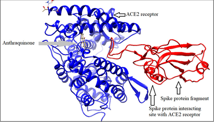 Figure 10