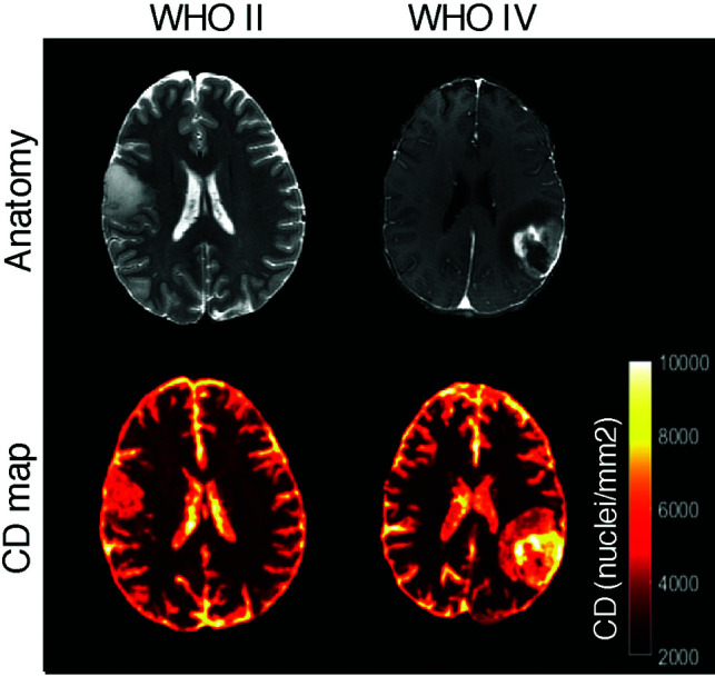 FIG 4.