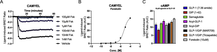 Supplementary Figure 4