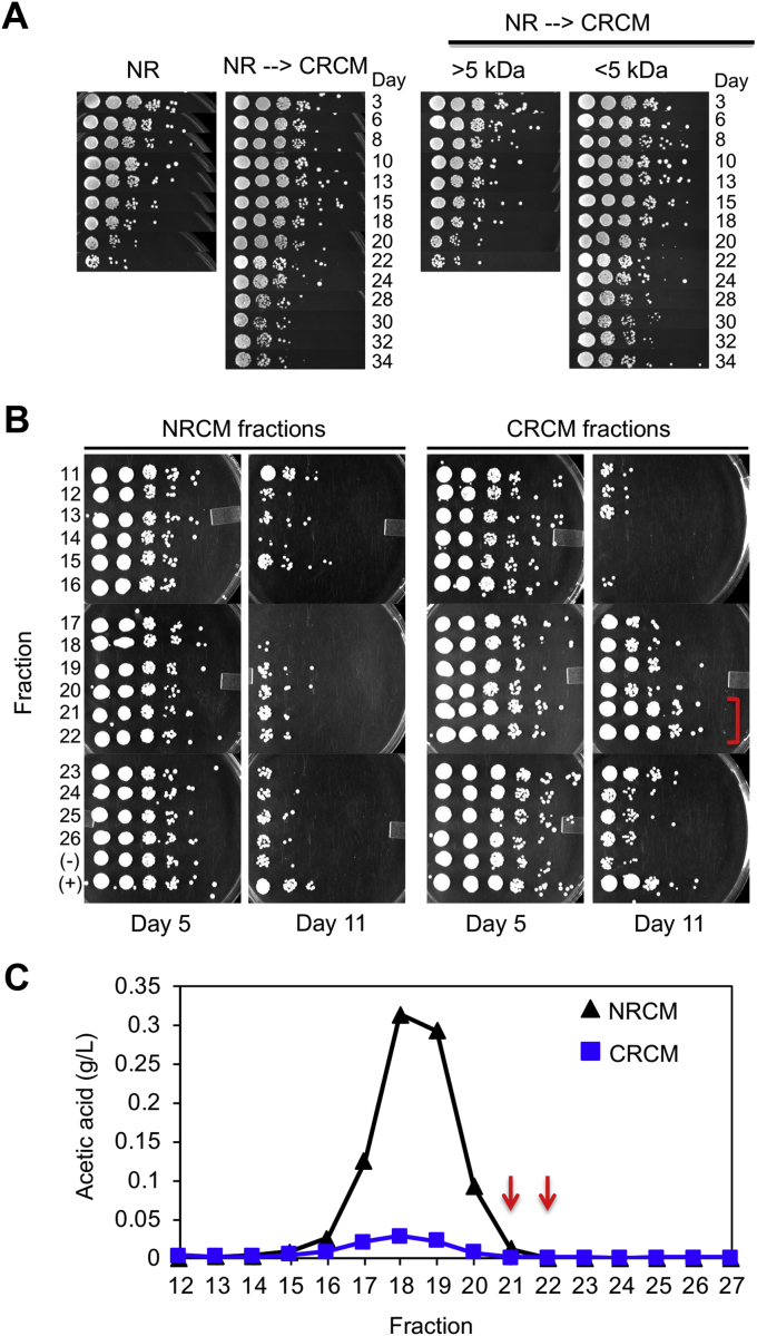 Figure 2